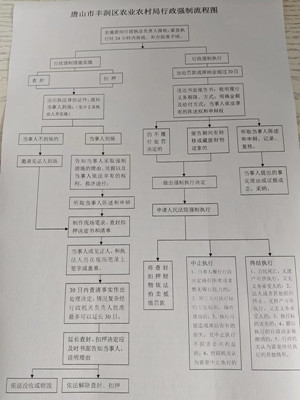 行政强制流程图_副本.jpg