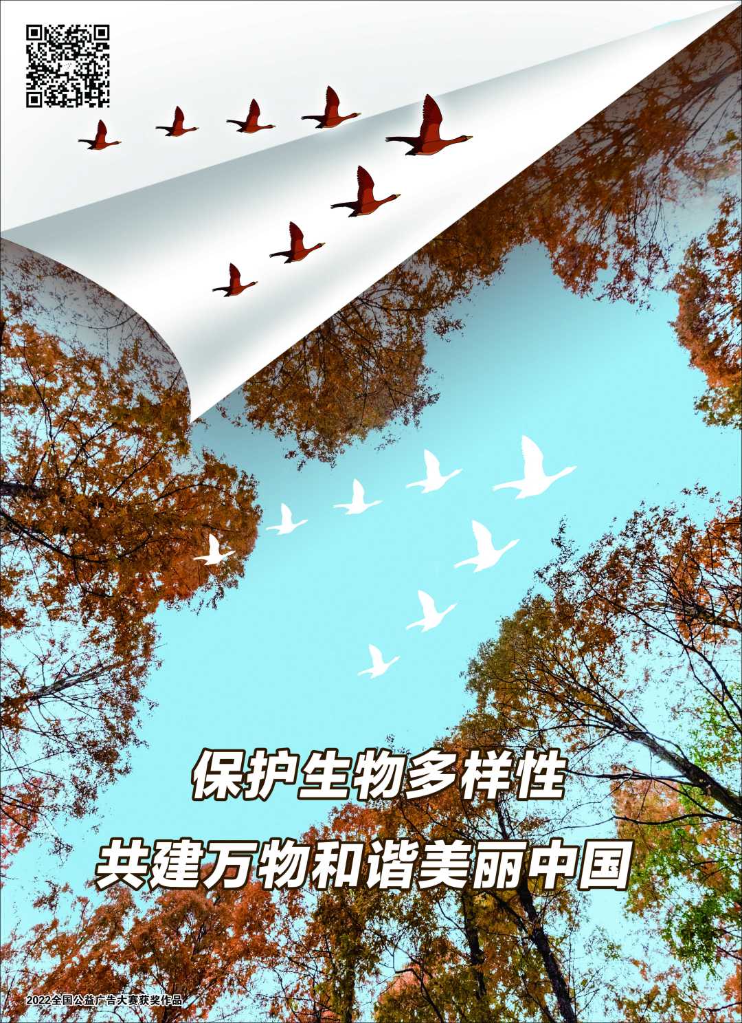 7d246be150c95b7d38558b85a32f147e_2-23092615311R54.jpg